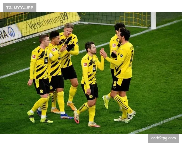 多特蒙德与赞助商续约 创队史最高金额纪录